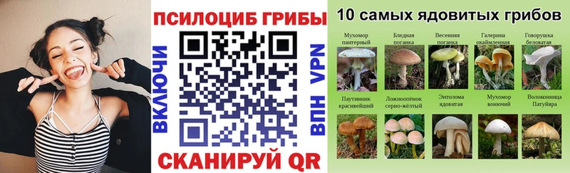 Галлюциногенные грибы MAGIC MUSHROOMS  Купить где  Лермонтов 